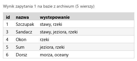 Podgląd strony po kroku 4