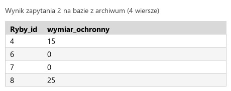 Podgląd strony po kroku 5