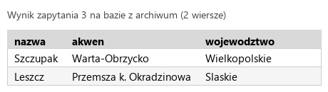 Podgląd strony po kroku 6