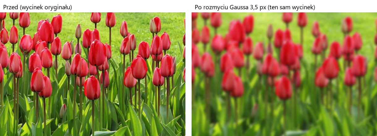 Podgląd strony po kroku 8