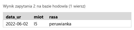 Podgląd strony po kroku 5