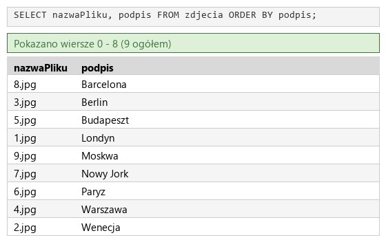 Podgląd strony po kroku 4