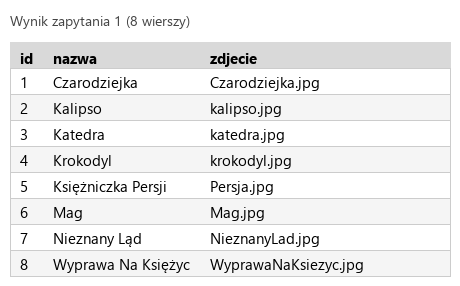 Podgląd strony po kroku 4
