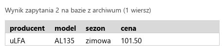 Podgląd strony po kroku 5