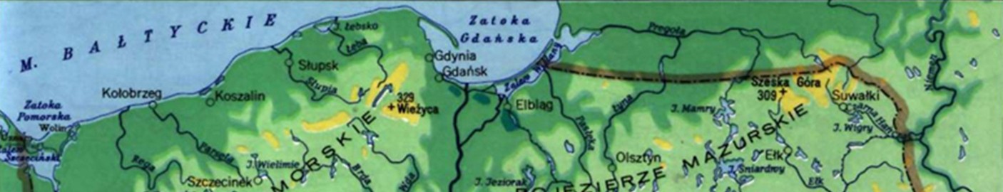 Podgląd strony po kroku 8