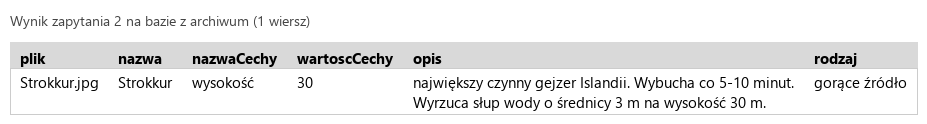 Podgląd strony po kroku 5