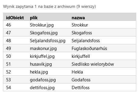 Podgląd strony po kroku 4