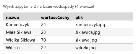 Podgląd strony po kroku 5