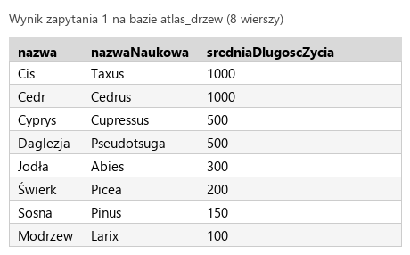 Podgląd strony po kroku 4