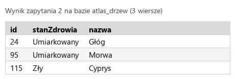 Podgląd strony po kroku 5