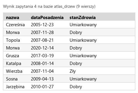 Podgląd strony po kroku 7