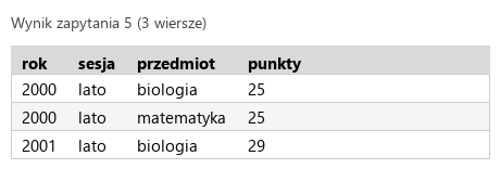 Podgląd strony po kroku 8