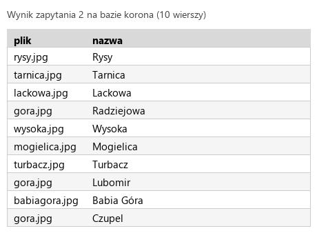 Podgląd strony po kroku 5