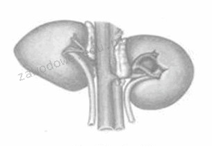 Ilustracja do pytania 9