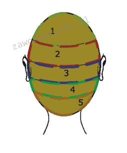 Ilustracja do pytania 26