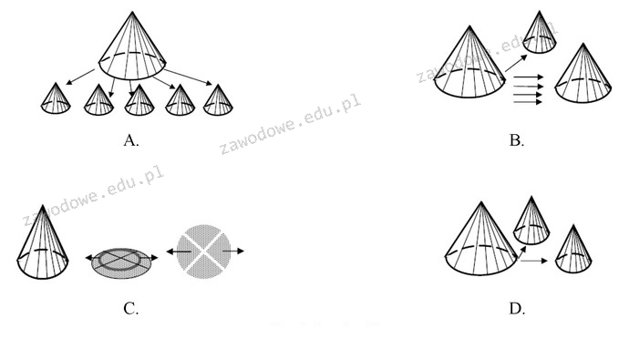 Ilustracja do pytania 31