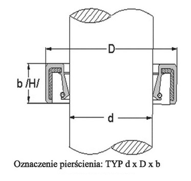 Ilustracja do pytania 37