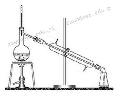 Ilustracja do pytania 19