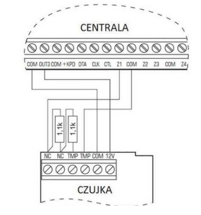 Ilustracja do pytania 31