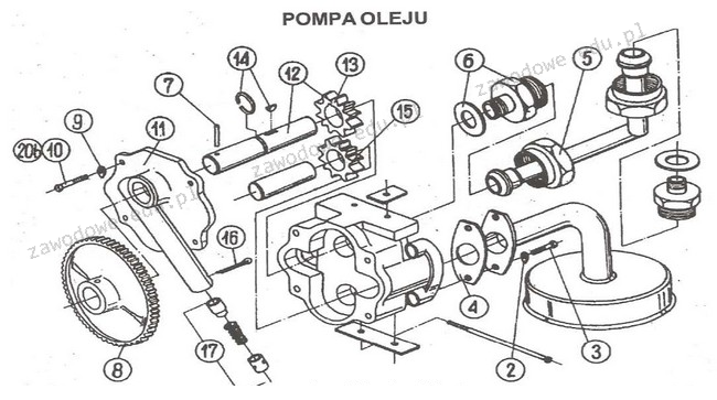 Ilustracja do pytania 36