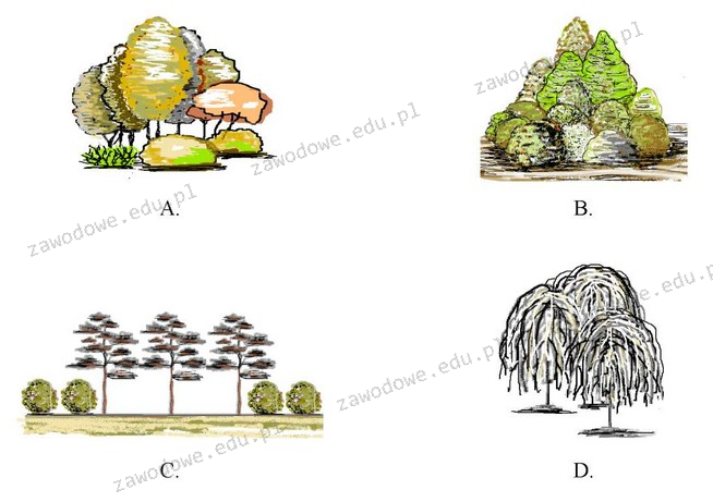 Ilustracja do pytania 26