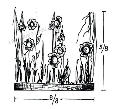 Ilustracja do pytania 36