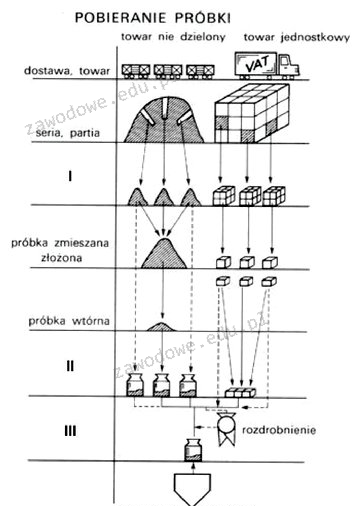 Ilustracja do pytania 17