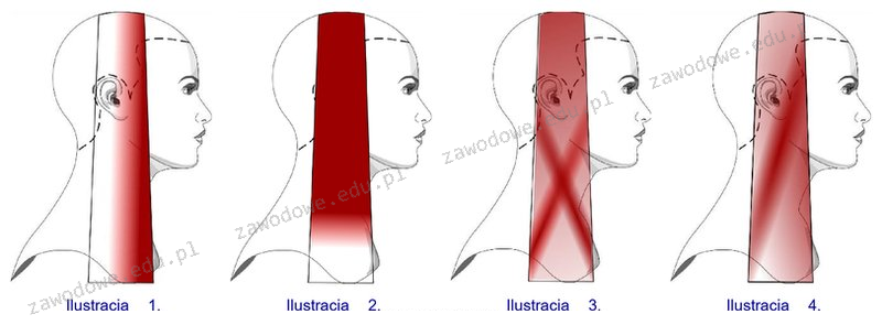 Ilustracja do pytania 39