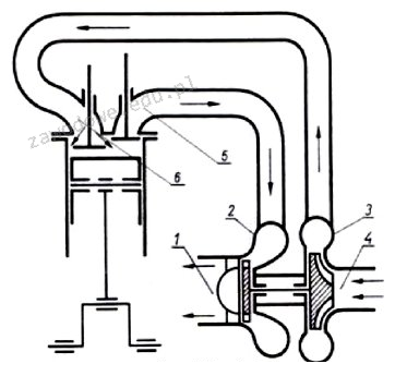 Ilustracja do pytania 5