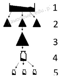Ilustracja do pytania 33