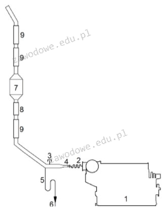Ilustracja do pytania z kwalifikacji TWO.06