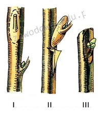 Ilustracja do pytania 38