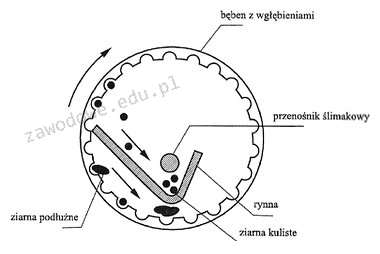 Ilustracja do pytania 8