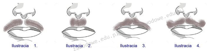 Ilustracja do pytania 18