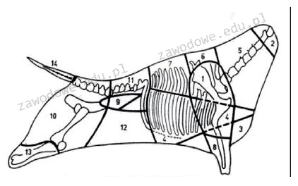 Ilustracja do pytania 15