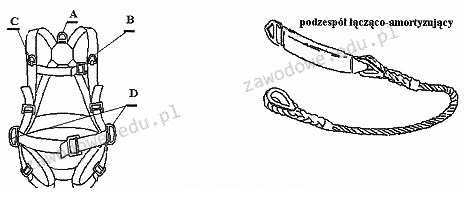 Ilustracja do pytania 32