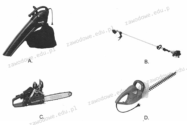 Ilustracja do pytania 12