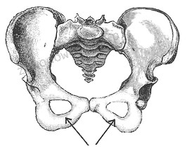 Ilustracja do pytania 19