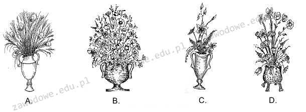 Ilustracja do pytania 20