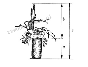 Ilustracja do pytania 37