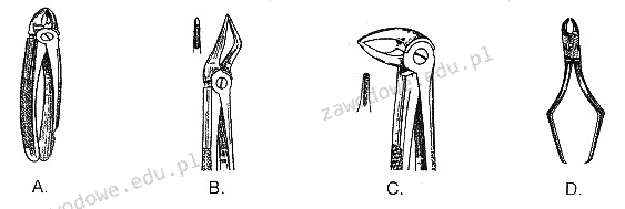 Ilustracja do pytania 1