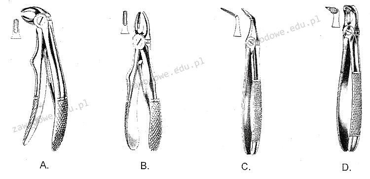 Ilustracja do pytania 26