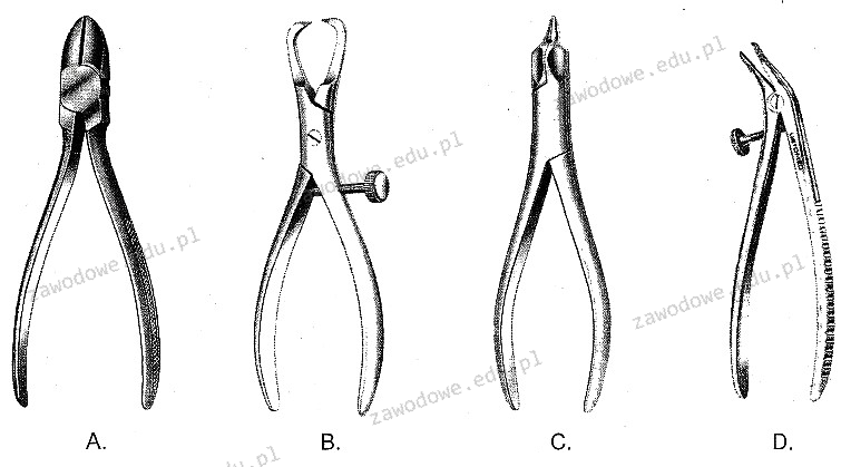 Ilustracja do pytania 30