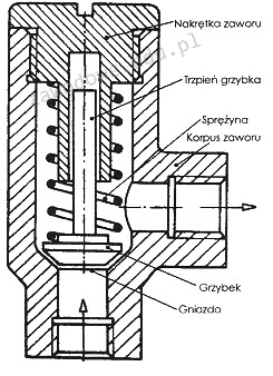 Ilustracja do pytania 35