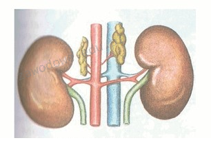 Ilustracja do pytania 39