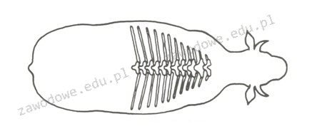 Ilustracja do pytania 3