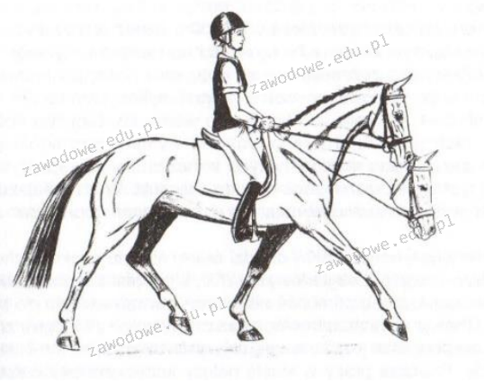 Ilustracja do pytania 30