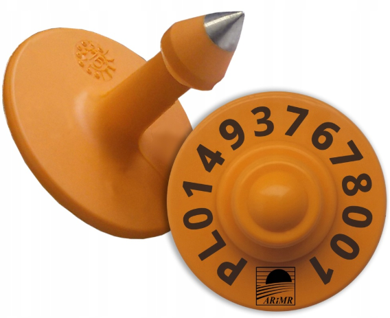 Ilustracja do pytania 37