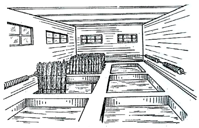 Ilustracja do pytania 36