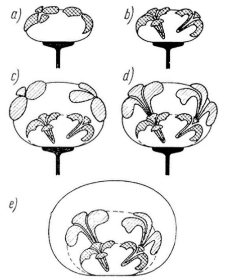 Ilustracja do pytania 16